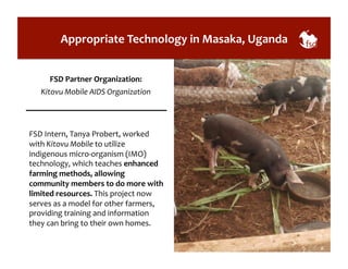 Appropriate 
Technology 
in 
Masaka, 
Uganda 
FSD 
Partner 
Organization: 
Kitovu 
Mobile 
AIDS 
Organization 
FSD 
Intern, 
Tanya 
Probert, 
worked 
with 
Kitovu 
Mobile 
to 
utilize 
indigenous 
micro-­‐organism 
(IMO) 
technology, 
which 
teaches 
enhanced 
farming 
methods, 
allowing 
community 
members 
to 
do 
more 
with 
limited 
resources. 
This 
project 
now 
serves 
as 
a 
model 
for 
other 
farmers, 
providing 
training 
and 
information 
they 
can 
bring 
to 
their 
own 
homes. 
 