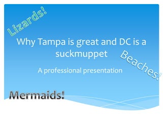 Why Tampa is great and DC is a
       suckmuppet
    A professional presentation
 