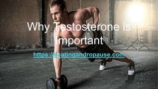 Why Testosterone is
Important
https://beatingandropause.com
 