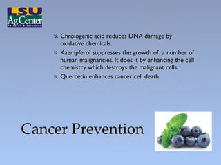 <ul><li>Chrologenic acid reduces DNA damage by oxidative chemicals. </li></ul><ul><li>Kaempferol suppresses the growth of ...