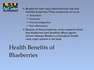<ul><li>Blueberries have many phytochemicals that have healthful properties. These compounds act as an: </li></ul><ul><ul>...