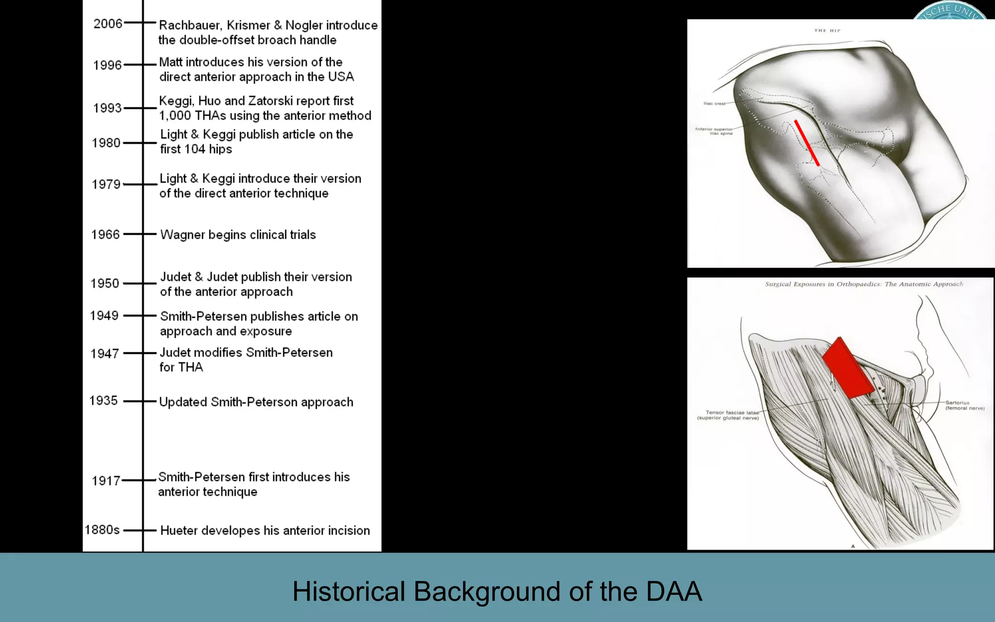 Medical University Innsbruck, AustriaMedical University Innsbruck, Austria
Historical Background of the DAA
 