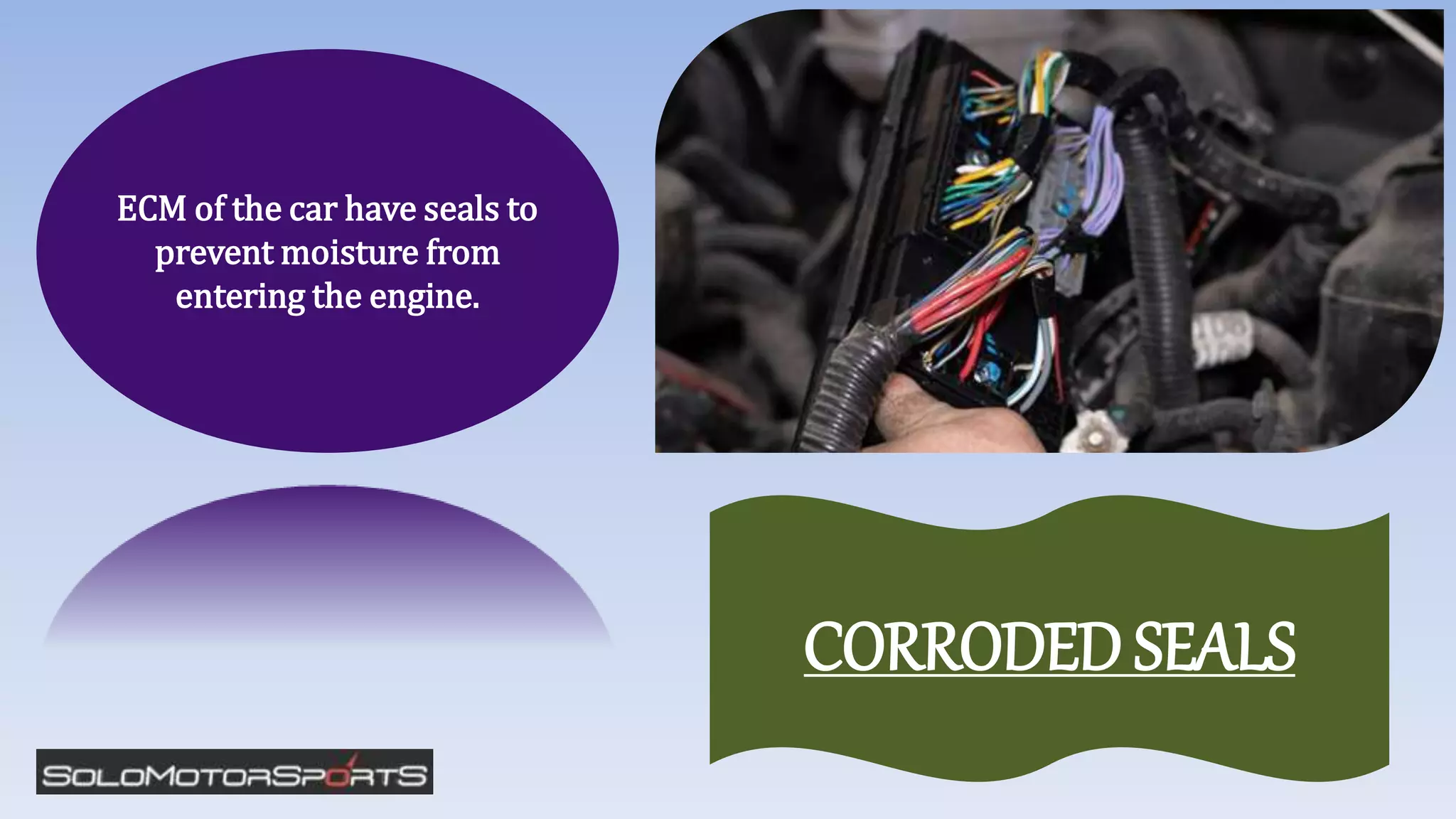 ECM of the car have seals to
prevent moisture from
entering the engine.
CORRODED SEALS
 