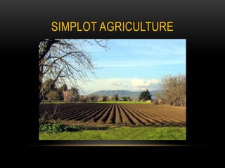 Simplot Agriculture 