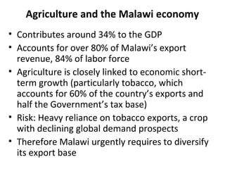 Agriculture and the Malawi economy
• Contributes around 34% to the GDP
• Accounts for over 80% of Malawi’s export
revenue, 84% of labor force
• Agriculture is closely linked to economic short-
term growth (particularly tobacco, which
accounts for 60% of the country’s exports and
half the Government’s tax base)
• Risk: Heavy reliance on tobacco exports, a crop
with declining global demand prospects
• Therefore Malawi urgently requires to diversify
its export base
 