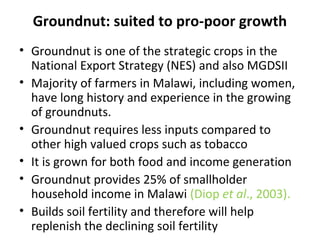 Groundnut: suited to pro-poor growth
• Groundnut is one of the strategic crops in the
National Export Strategy (NES) and also MGDSII
• Majority of farmers in Malawi, including women,
have long history and experience in the growing
of groundnuts.
• Groundnut requires less inputs compared to
other high valued crops such as tobacco
• It is grown for both food and income generation
• Groundnut provides 25% of smallholder
household income in Malawi (Diop et al., 2003).
• Builds soil fertility and therefore will help
replenish the declining soil fertility
 