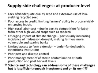 Supply-side challenges: at producer level
• Lack of/inadequate quality seed and extensive use of low-
yielding recycled seed
• Poor access to credit, limiting farmers’ ability to procure yield-
enhancing inputs
• High rural labor cost – due in part to competition for labor
from other high valued crops such as tobacco
• Emerging impact of climate change – particularly increasing
incidence of midseason drought, making farmers more
vulnerable and scaring banks
• Limited access to farm extension – under-funded public
extensions institutions
• Poor pest and disease control
• Poor management of aflatoxin contamination at both
production and post harvest levels
 Science and technology can address some of these challenges
but is it sufficient (enough investment and on its own)??
 