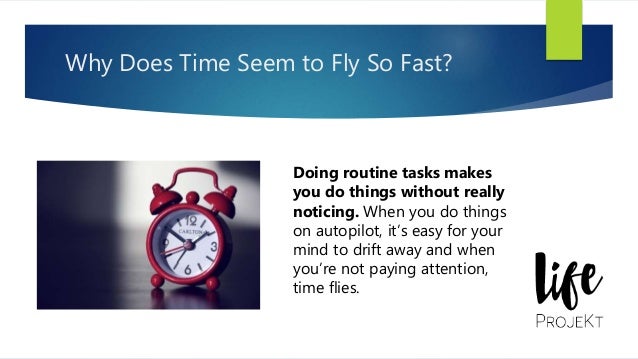 Why Time Flies why-time-flies