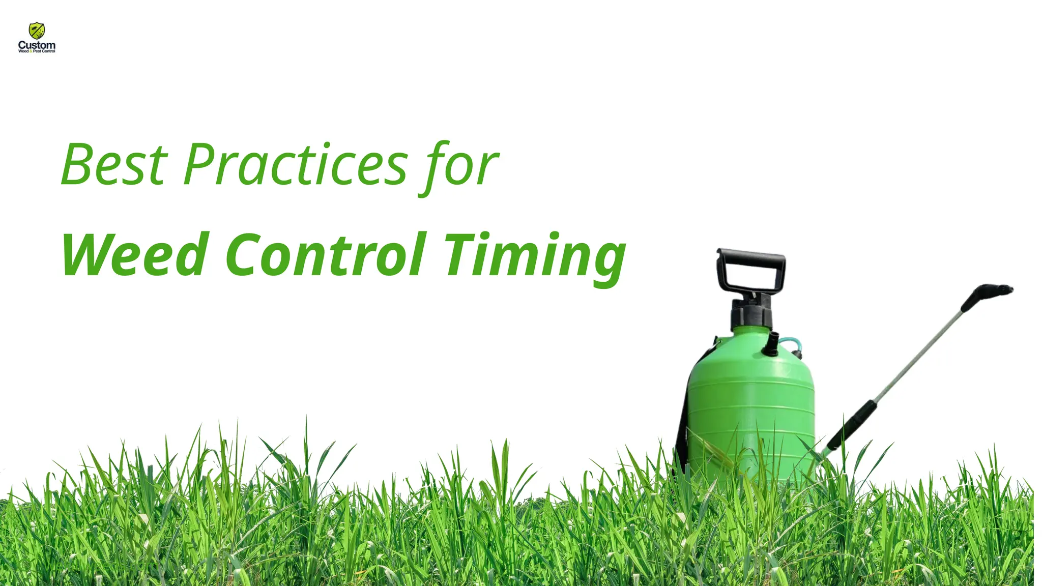 Best Practices for
Weed Control Timing
wekillweeds.com
 