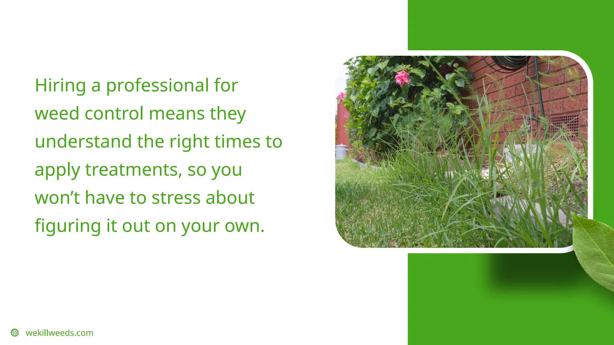 wekillweeds.com
Hiring a professional for
weed control means they
understand the right times to
apply treatments, so you
won’t have to stress about
figuring it out on your own.
 