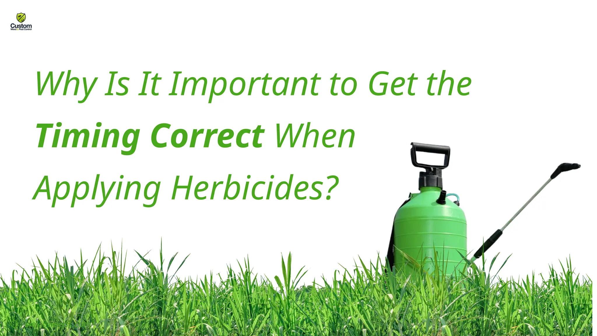 Why Is It Important to Get the
Timing Correct When
Applying Herbicides?
wekillweeds.com
 