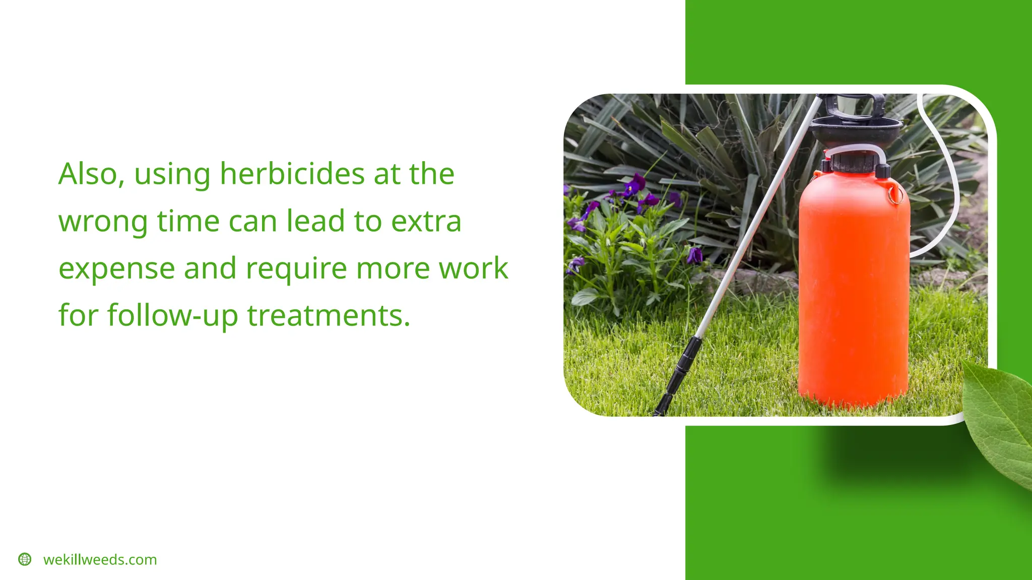 wekillweeds.com
Also, using herbicides at the
wrong time can lead to extra
expense and require more work
for follow-up treatments.
 