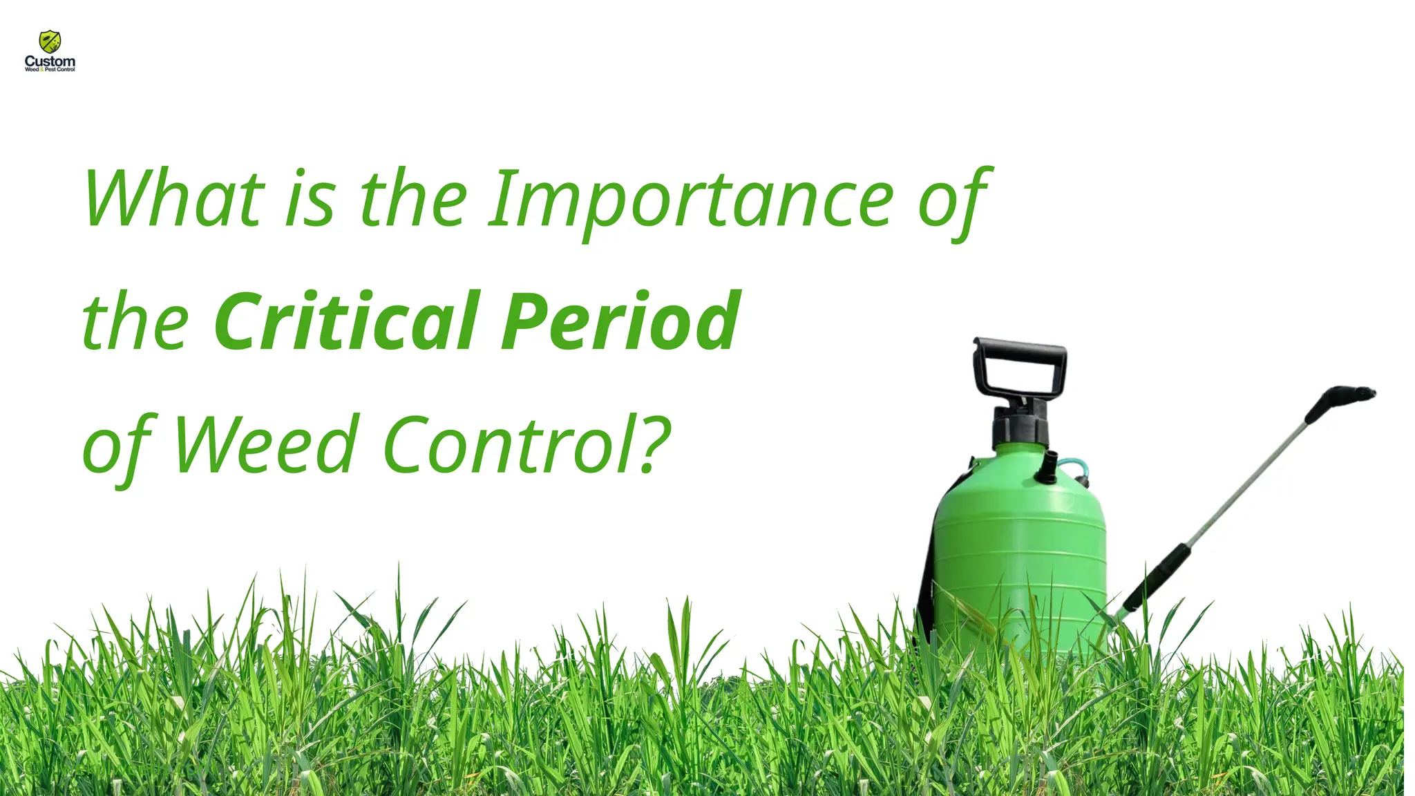 What is the Importance of
the Critical Period
of Weed Control?
wekillweeds.com
 