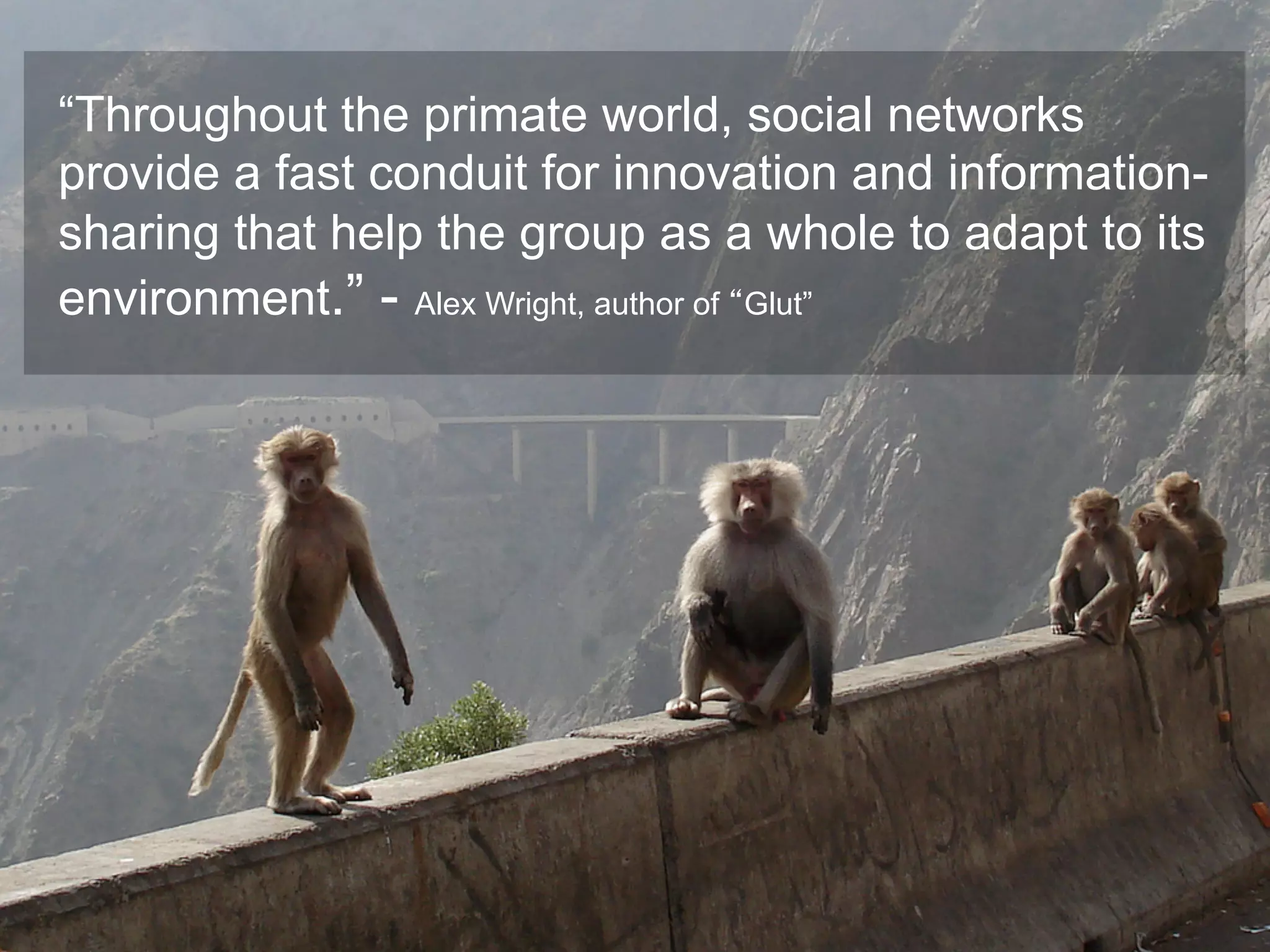 “Throughout the primate world, social networks
provide a fast conduit for innovation and information-
sharing that help the group as a whole to adapt to its
environment.” - Alex Wright, author of “Glut”
 