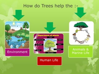 WHY TREES ARE IMPORTANT? Trees are the backbone of life on Earth. | PPTX