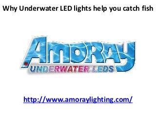 Why Underwater LED lights help you catch fish
http://www.amoraylighting.com/
 