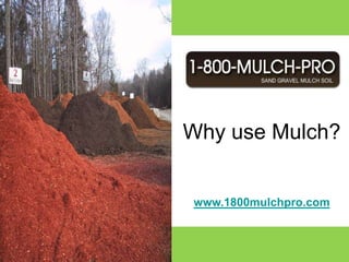 Call 1-800-MULCH-PRO and get connected with a mulch professional that services your local area.  1-800-MULCH-PRO is a network of the most elite and reputable landscape supply companies in the country.  You can also visit us online at http://www.1800mulchpro.com  for more information. Why use Mulch? www.1800mulchpro.com 