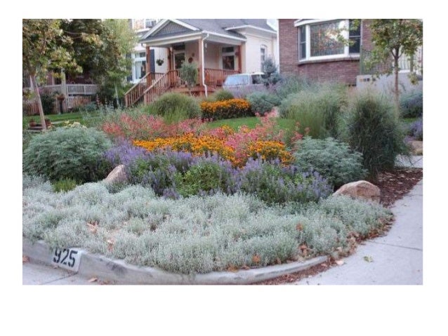 Why Waterwise Landscapes Matter Typical Suburban Street View Waterwise Suburban Street View; 23. - Why Waterwise Landscapes Matter