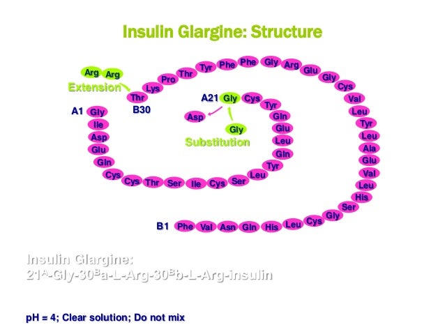 analog insulin analog insulin