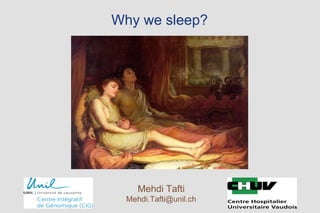 Why we sleep?  Mehdi Tafti [email_address] 