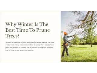 Why Winter Is The Best Time To Prune Trees.pptx