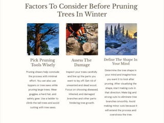 Why Winter Is The Best Time To Prune Trees.pptx