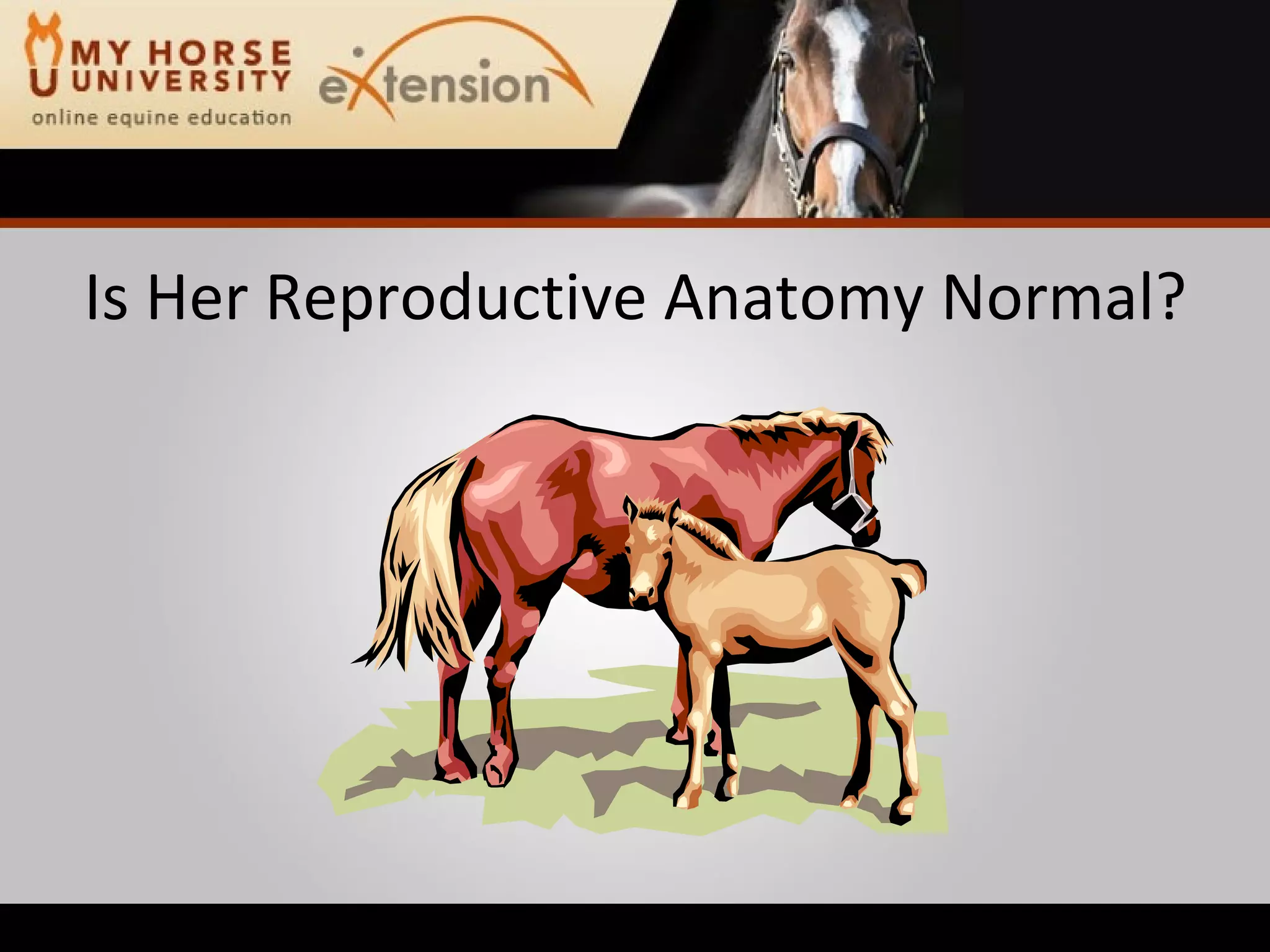 Is Her Reproductive Anatomy Normal? 