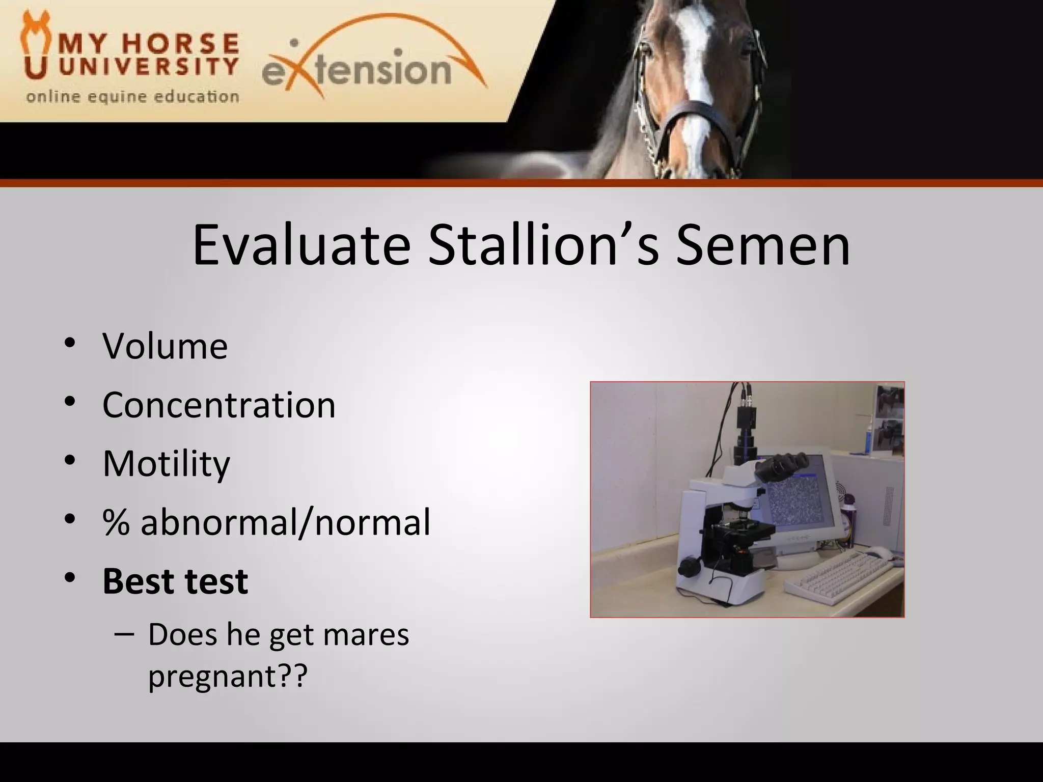 Evaluate Stallion’s Semen Volume Concentration Motility % abnormal/normal Best test Does he get mares pregnant?? 