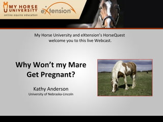 My Horse University and eXtension’s HorseQuest  welcome you to this live Webcast. Why Won’t my Mare Get Pregnant? Kathy Anderson University of Nebraska-Lincoln 