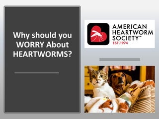 Why should you
WORRY About
HEARTWORMS?
 