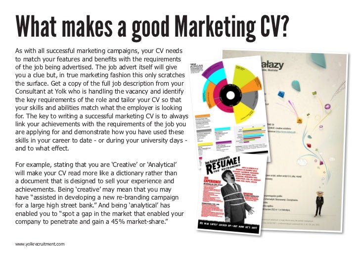 fashion marketing cv