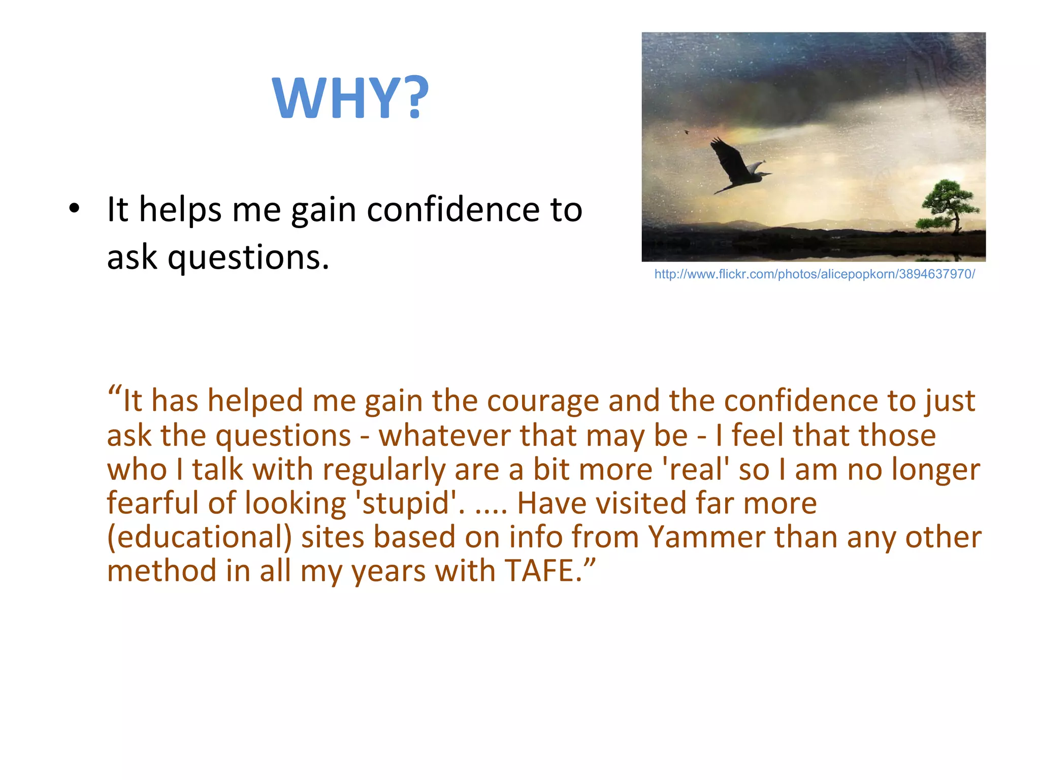 WHY? It helps me gain confidence to ask questions. “ It has helped me gain the courage and the confidence to just ask the questions - whatever that may be - I feel that those who I talk with regularly are a bit more 'real' so I am no longer fearful of looking 'stupid'. .... Have visited far more (educational) sites based on info from Yammer than any other method in all my years with TAFE.” http://www.flickr.com/photos/alicepopkorn/3894637970/ 