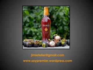 jimletelier@gmail.comwww.soypremier.wordpress.com
