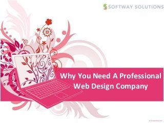 Why You Need A Professional
  Web Design Company
 