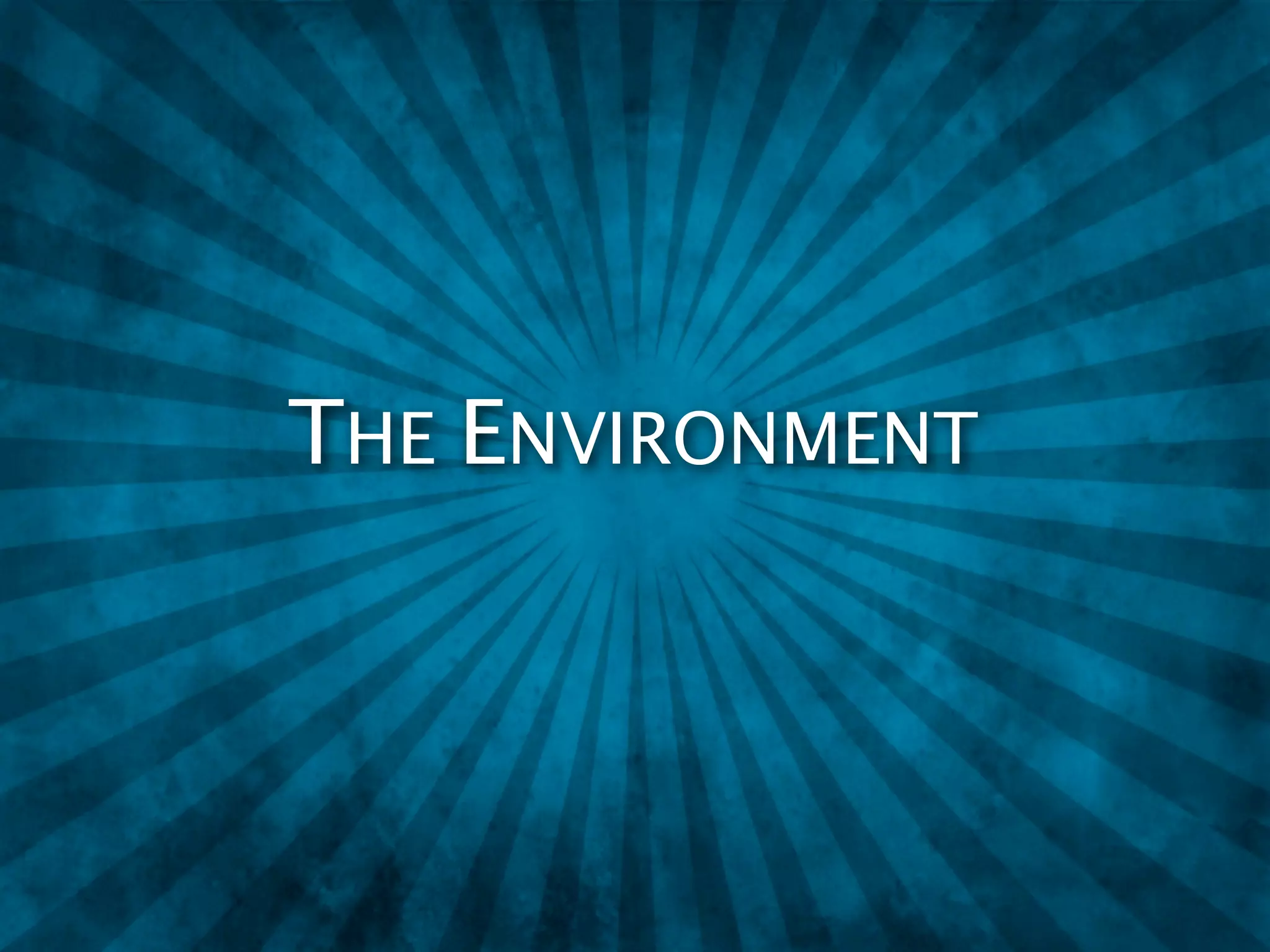 THE ENVIRONMENT
 