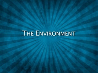 THE ENVIRONMENT
 