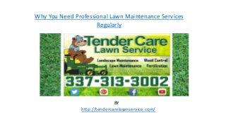 BY
http://tendercarelawnservice.com/
Why You Need Professional Lawn Maintenance Services
Regularly
 