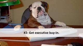 funnyanimalphoto.blogspot.com
#2: Get executive buy-in.
 