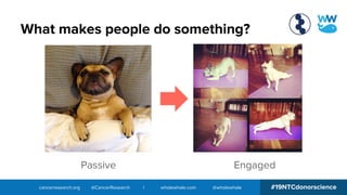 cancerresearch.org @CancerResearch | wholewhale.com @wholewhale #19NTCdonorscience
What makes people do something?
Passive Engaged
 