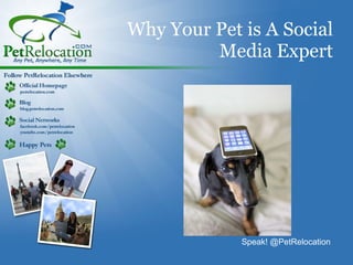 Why Your Pet is A Social Media Expert Speak! @PetRelocation 