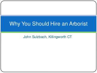 John Sulzbach, Killingworth CT
Why You Should Hire an Arborist
 