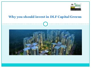 Why you should invest in DLF Capital Greens
 