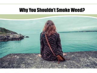 Why You Shouldn’t Smoke Weed?
 