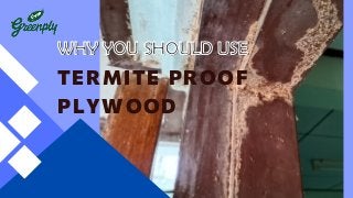WHY YOU SHOULD USE
WHY YOU SHOULD USE
TERMITE PROOF
PLYWOOD
 