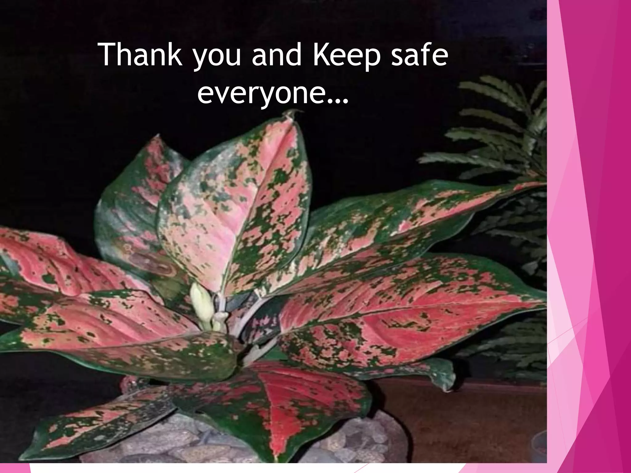 Thank you and Keep safe
everyone…
 
