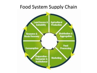 Food System Supply Chain
 