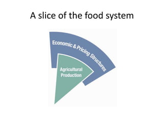 A slice of the food system
 