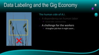 Data Labeling and the Gig Economy
The human side of A.I.
o A dependency on human labor
 Good side: communities
o A challe...