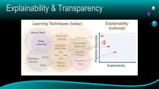 Explainability & Transparency
 