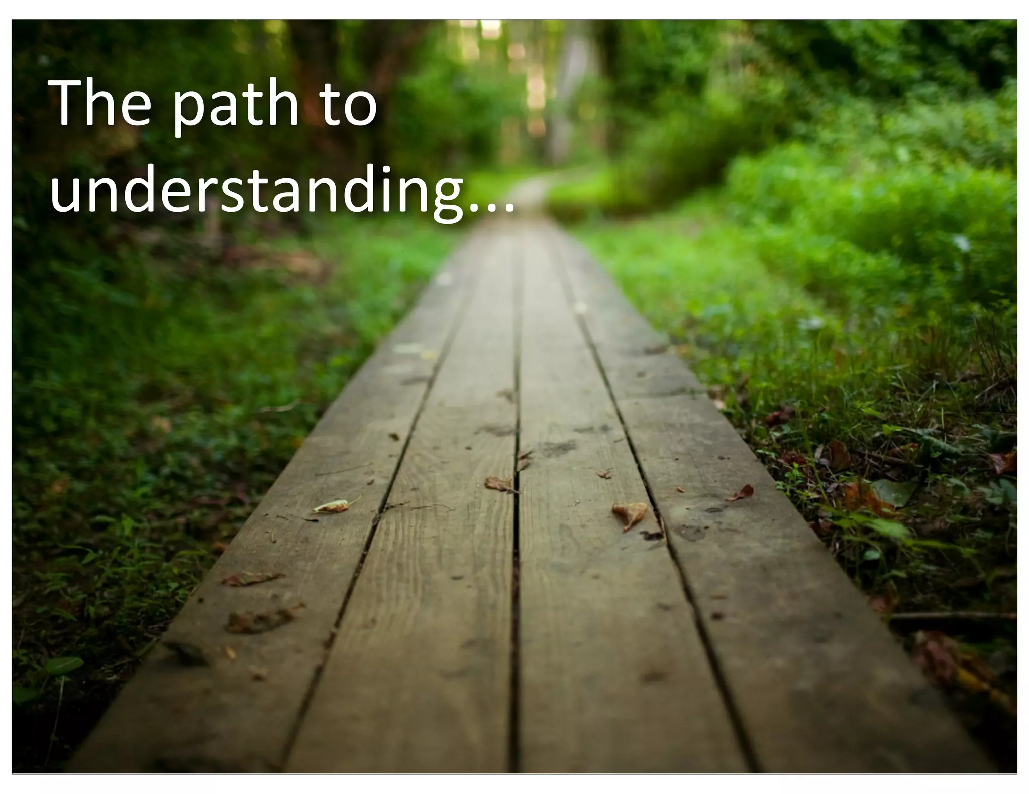 The	
  path	
  to
understanding...
 